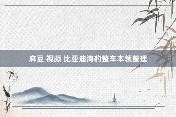 麻豆 视频 比亚迪海豹整车本领整理
