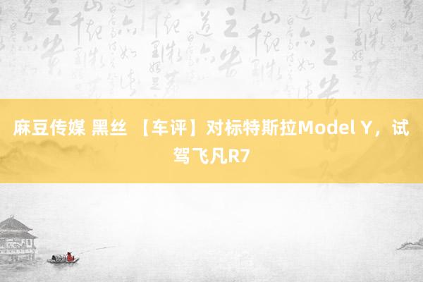 麻豆传媒 黑丝 【车评】对标特斯拉Model Y，试驾飞凡R7