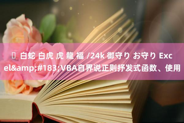 ✨白蛇 白虎 虎 龍 福 /24k 御守り お守り Excel&#183;VBA自界说正则抒发式函数、使用