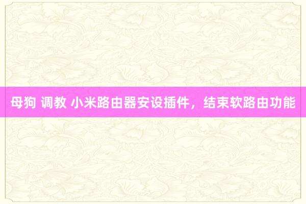 母狗 调教 小米路由器安设插件，结束软路由功能