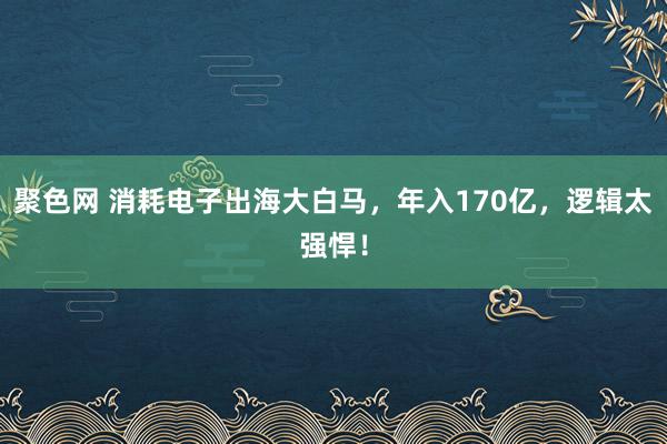 聚色网 消耗电子出海大白马，年入170亿，逻辑太强悍！