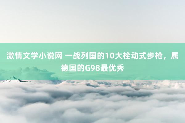 激情文学小说网 一战列国的10大栓动式步枪，属德国的G98最优秀