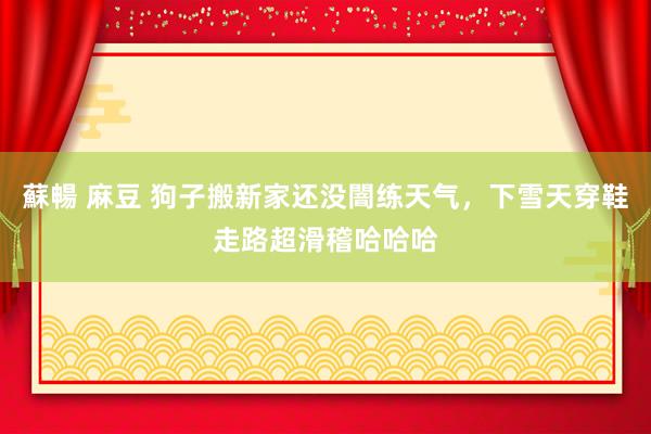 蘇暢 麻豆 狗子搬新家还没闇练天气，下雪天穿鞋走路超滑稽哈哈哈