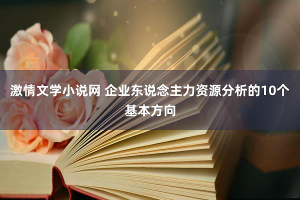 激情文学小说网 企业东说念主力资源分析的10个基本方向