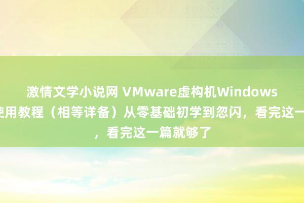 激情文学小说网 VMware虚构机Windows 10装配使用教程（相等详备）从零基础初学到忽闪，看完这一篇就够了