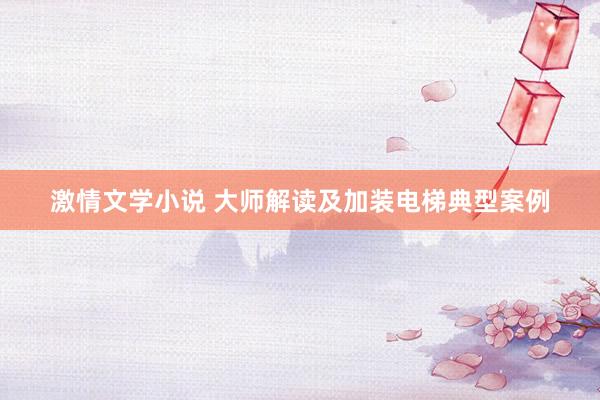 激情文学小说 大师解读及加装电梯典型案例