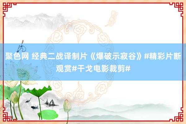 聚色网 经典二战译制片《爆破示寂谷》#精彩片断观赏#干戈电影裁剪#